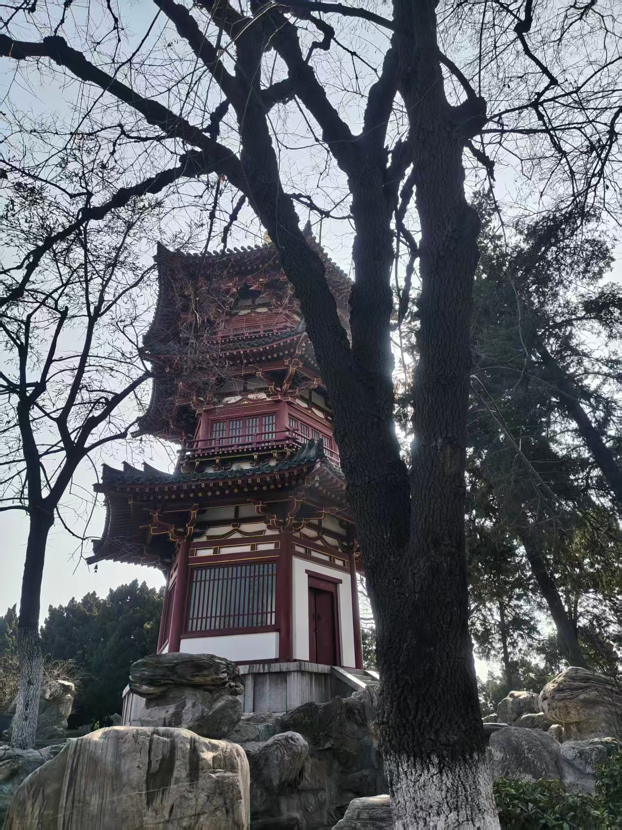 兴庆宫2 兴庆宫2